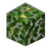 Jungle Leaves Icon