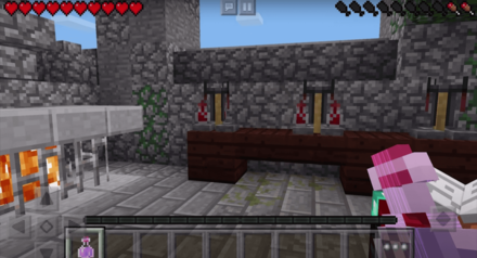 Pocket Edition Lite Screen