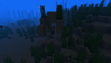 Ocean Ruin Warm Minecraft