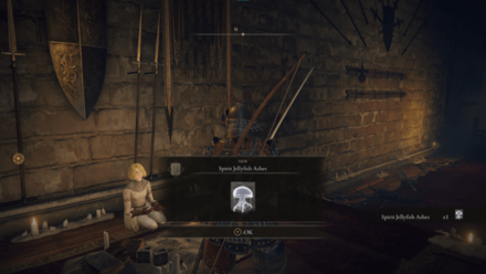 Elden Ring - Roderika Spirit Ash