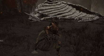 Elden Ring - Used as a Pre-Fight Buff