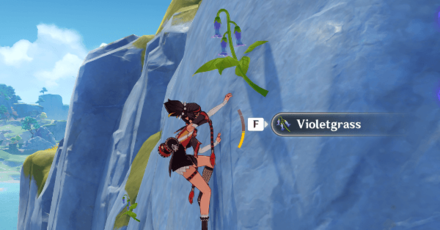 Genshin - Violetgrass Hanging on a Cliffside