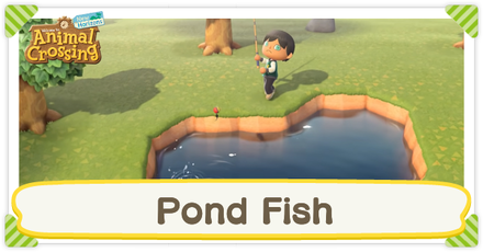 Animal Crossing: New Horizons (ACNH) - List of All Pond Fish | Pond Fish Guide