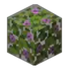 Flowering Azalea Leaves Icon