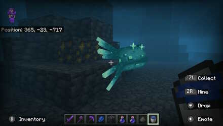 Glow Squid Wandering