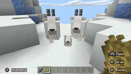 Goat Following Player