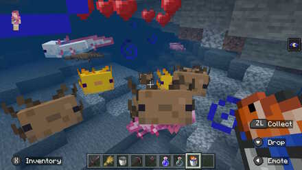 Axolotl Following Player