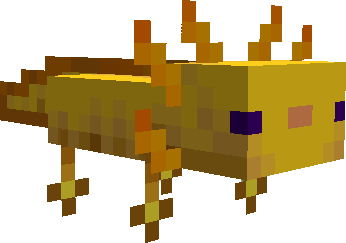Axolotl Variant Yellow