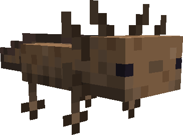 Axolotl Variant Brown