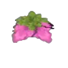 Spore Blossom Icon