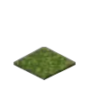 Moss Carpet Icon