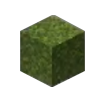 Moss Block Icon