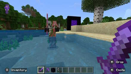 Zombified Piglin from Nether Portal