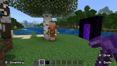 Piglin Transformation