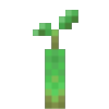 Mangrove Propagule Icon