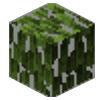 Mangrove Leaves Icon