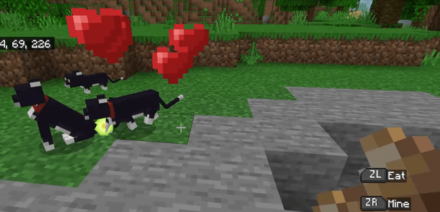 Feed Tamed Cats To Get Them To Breed