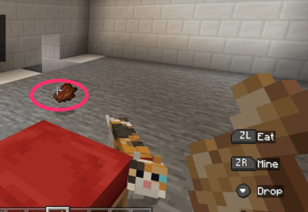 A Cat that sleeps on your bed might leave gifts when you wake up