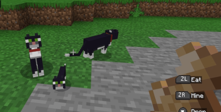 Cats Move Around Unless Told to Sit