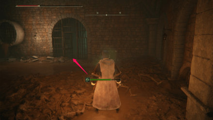 Elden Ring - How to Use Sewer Gaol Key