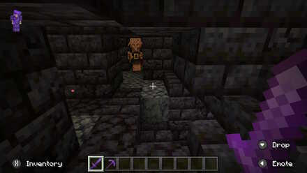 Cramped Space Bastion Remnant