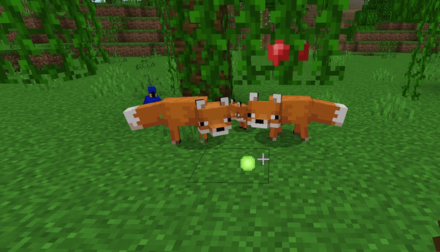 Feed Sweet Berries Or Glow Berries to two foxes to get them to breed a tamed kit