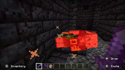 Killing a Piglin Brute