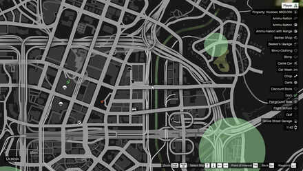 Grand Theft Auto V (GTA V) - Grenade Launcher Map Location.jpg
