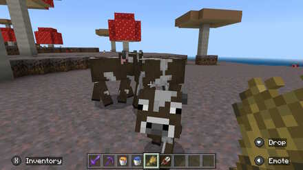 Mooshroom Breeding with Cow.