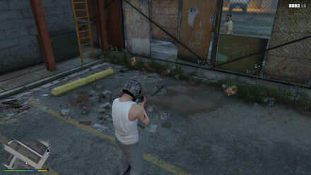 Grand Theft Auto V (GTA V) - MG Location.jpg