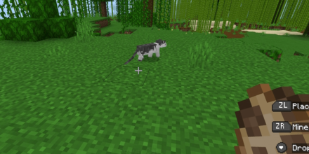 Stray Cats Are Scared of the Player