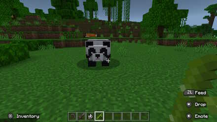 Use Bamboo to get Pandas to follow you