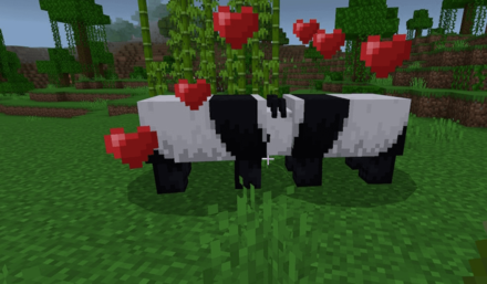 Pandas Mating