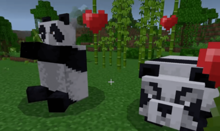 Pandas Have Varying Personalities