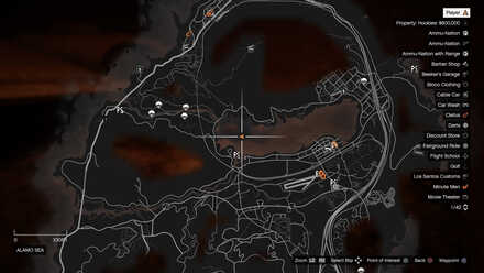 Grand Theft Auto V (GTA V) - Sniper Rifle Map Location.jpg