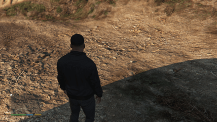Grand Theft Auto V (GTA V) - Grenade Location.jpg