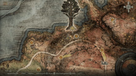 level 4 ghost glovewort Minor Erdtree Catacombs Map Ghost Glovewort 4