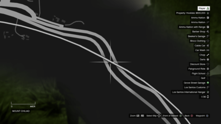 Grand Theft Auto V (GTA V) - MG Map Location.jpg