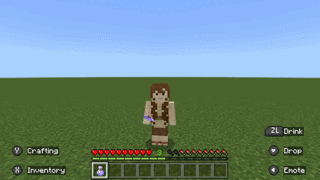 Potion of Invisibility.gif