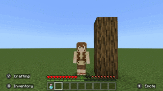 Potion of Leaping.gif