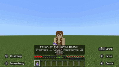 Potion of the Turtle Master.gif