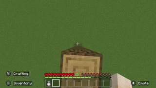 Potion of Slow Falling.gif