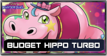 Budget Hippo Turbo Deck Top Image.png