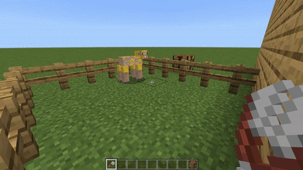 MC - Sheep Regrow Wool After Eating Grass.gif