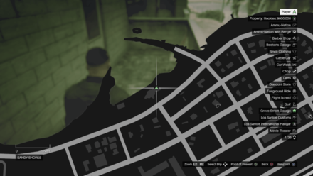 Grand Theft Auto V (GTA V) - Molotov Map Location.jpg