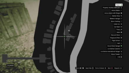 Grand Theft Auto V (GTA V) - Molotov Map Location.jpg