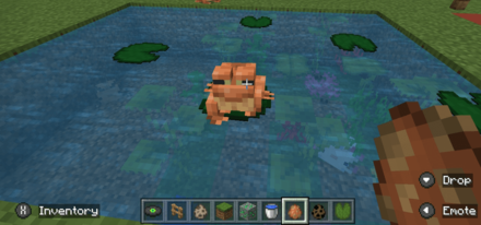 Minecraft - Frog