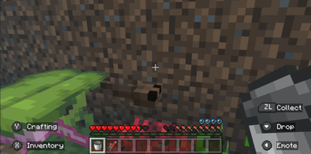 Minecraft - Tadpole from Bucket
