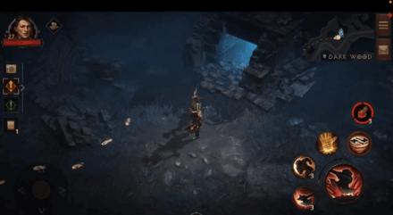 Dark Wood Sanguine Ruins Hidden Lair World View (1).png