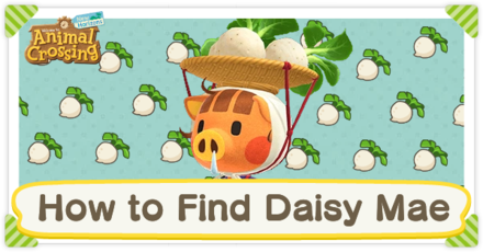 Animal Crossing: New Horizons - How to Find Daisy Mae